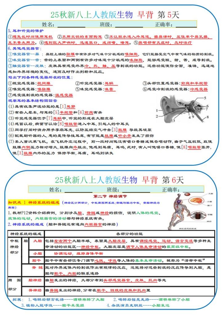 图片[3]-25秋八上生物、地理、历史、道法～早读晚默小纸条-宝库盒教辅资料站
