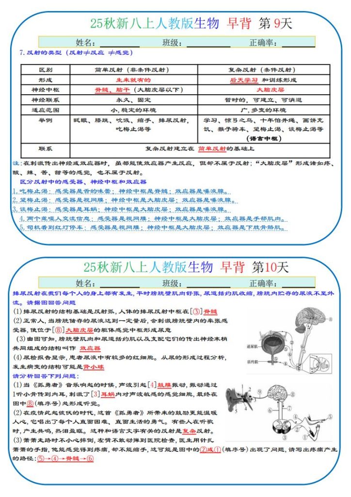 图片[5]-25秋八上生物、地理、历史、道法～早读晚默小纸条-宝库盒教辅资料站