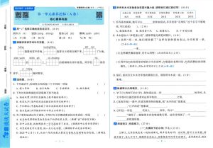 25秋新版三年级上册语文1-8单元素养达标(AB卷）含答案版-宝库盒教辅资料站