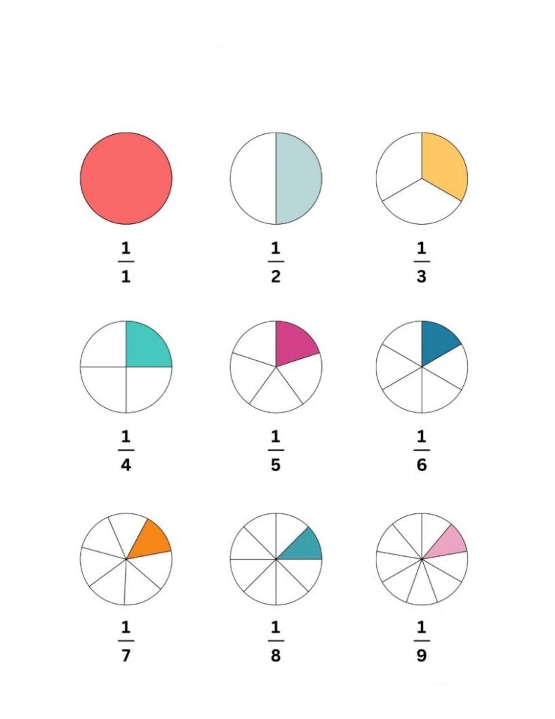 图片[2]-三年级上册数学《分数的初步认识》-宝库盒教辅资料站