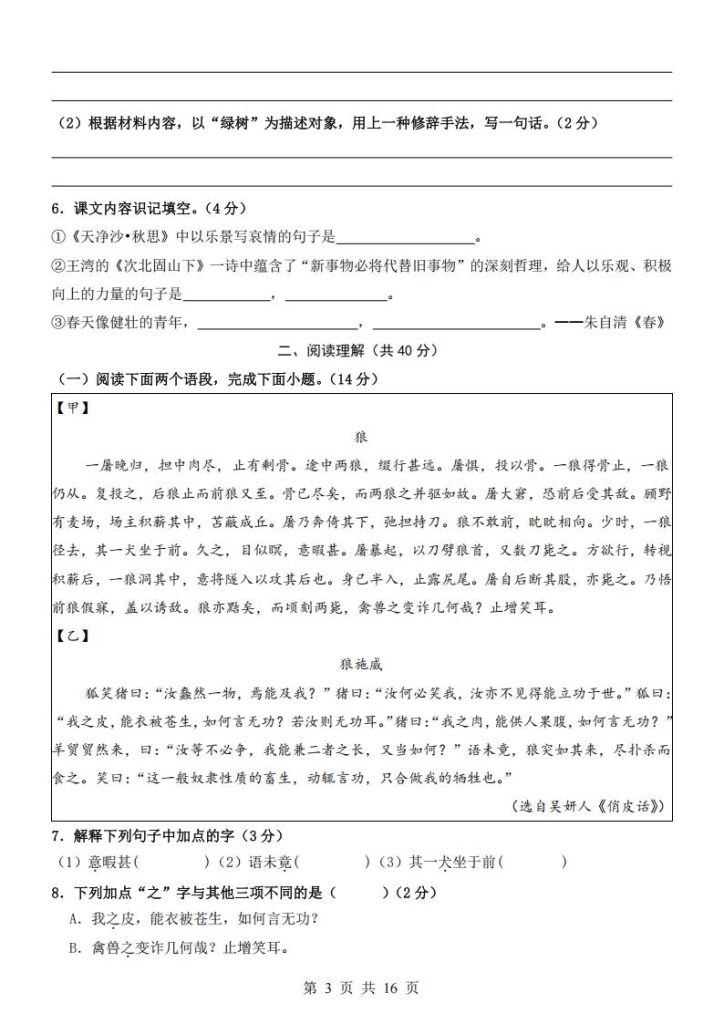 图片[3]-2025年小升初【分班考】检测卷-宝库盒教辅资料站