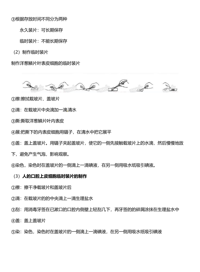 图片[6]-初中生物知识点归纳（精致版）-宝库盒教辅资料站