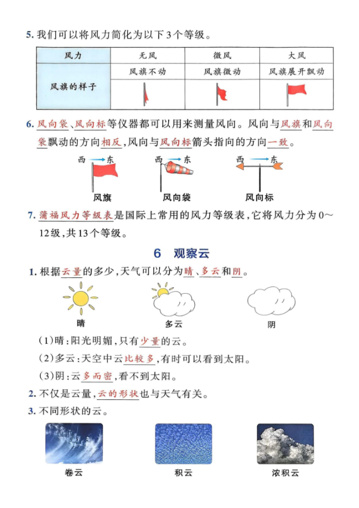 图片[5]-三年级上册科学知识点汇总 20页（教科版）25秋-宝库盒教辅资料站