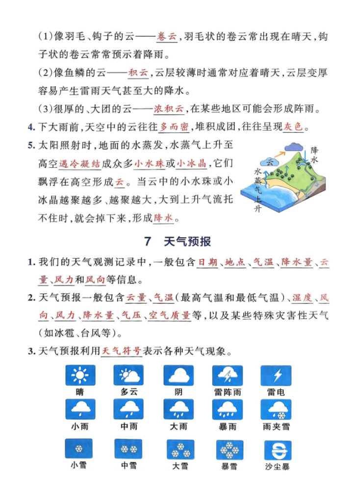 图片[6]-三年级上册科学知识点汇总 20页（教科版）25秋-宝库盒教辅资料站