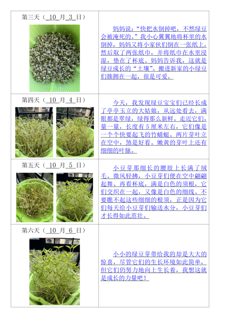 图片[2]-【第三单元习作：观察记录表日记专项】四上语文-宝库盒教辅资料站