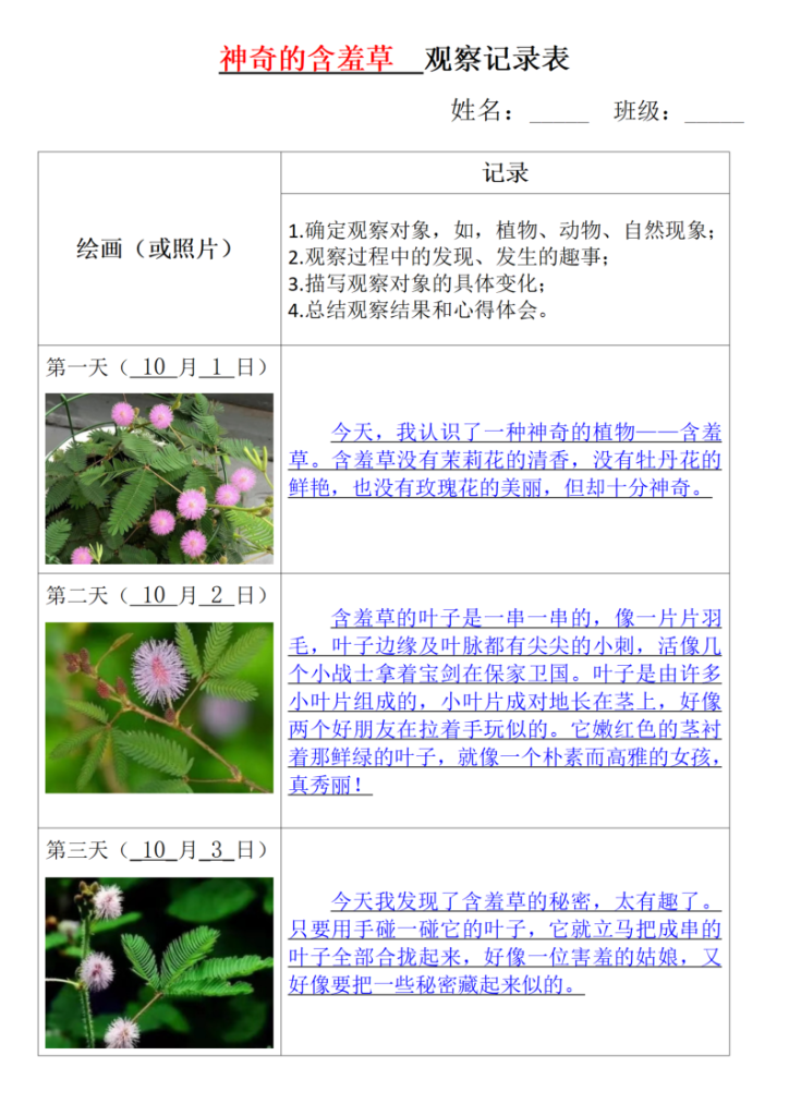 图片[3]-【第三单元习作：观察记录表日记专项】四上语文-宝库盒教辅资料站