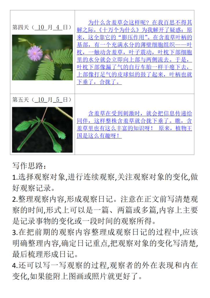图片[4]-【第三单元习作：观察记录表日记专项】四上语文-宝库盒教辅资料站