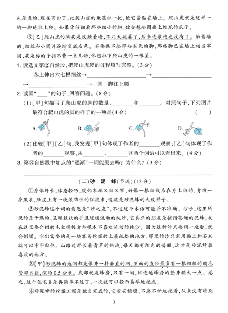 图片[3]-25学年四上语文第三单元达标素养卷（含答案5页）-宝库盒教辅资料站