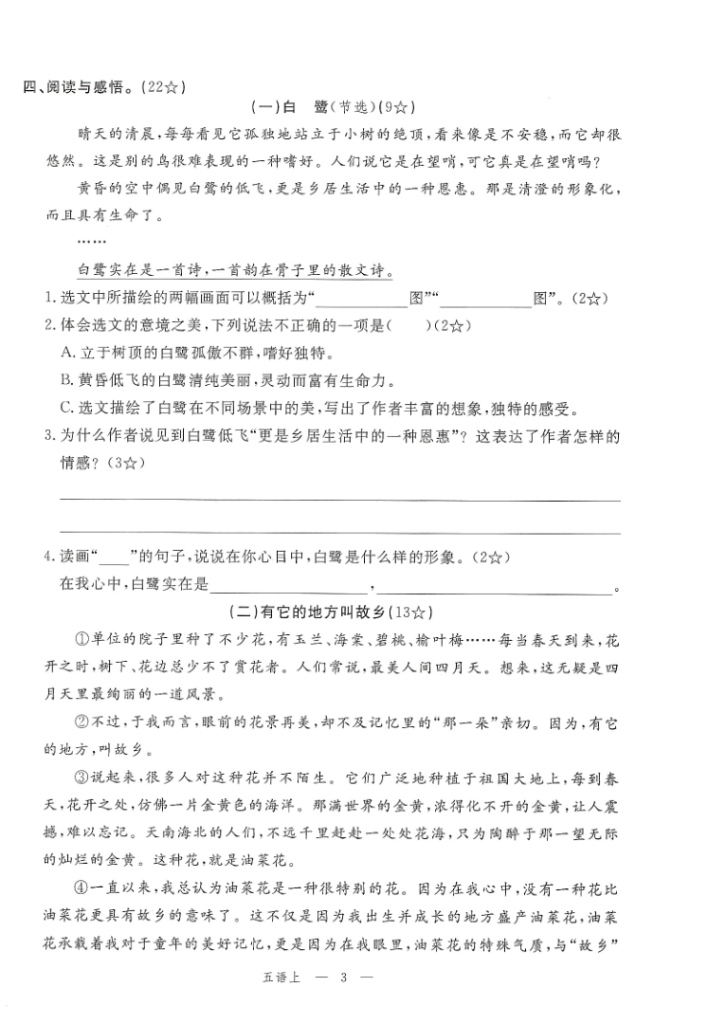 图片[3]-2025年秋五年级上学期语文1-8单元素养评估卷（含答案）-宝库盒教辅资料站