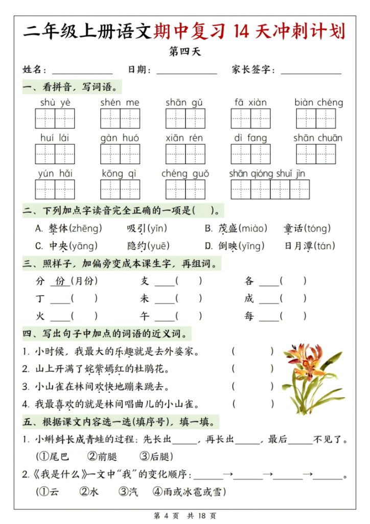 图片[4]-25年新版二年级（上）语文期中复习14天冲刺计划-宝库盒教辅资料站