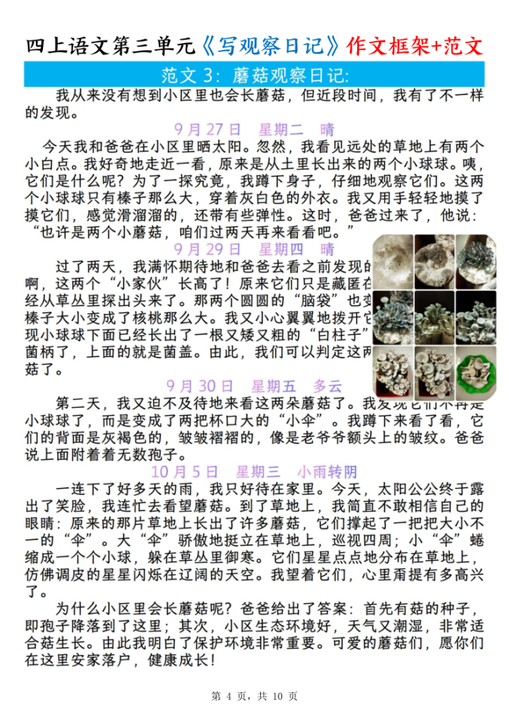 图片[4]-四上语文第三单元《写观察日记》作文支架＋优秀范文-宝库盒教辅资料站