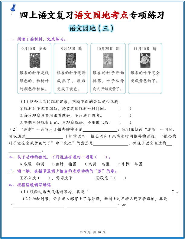 图片[3]-25年四年级上册语文复习1-8单元语文园地考点专项练习（含答案10页）-宝库盒教辅资料站