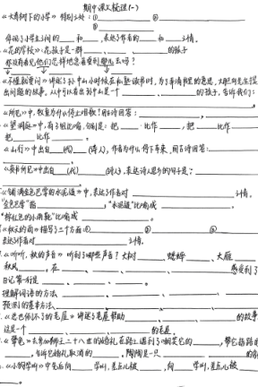 图片[2]-25秋三年级上册语文期中复习专项（老师手写版）含答案-宝库盒教辅资料站
