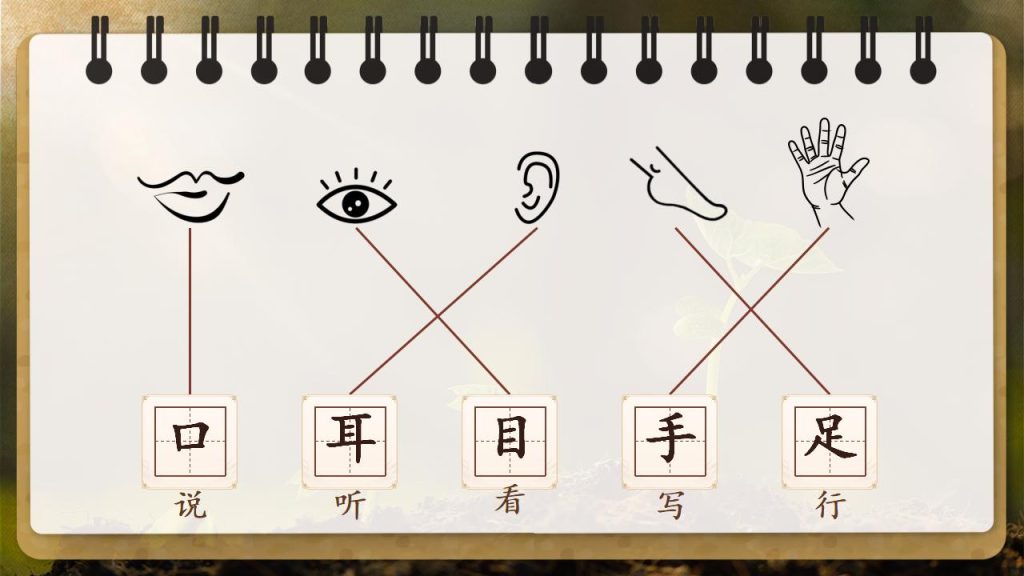 图片[6]-一年级上册语文复习课件期中汇总版-宝库盒教辅资料站