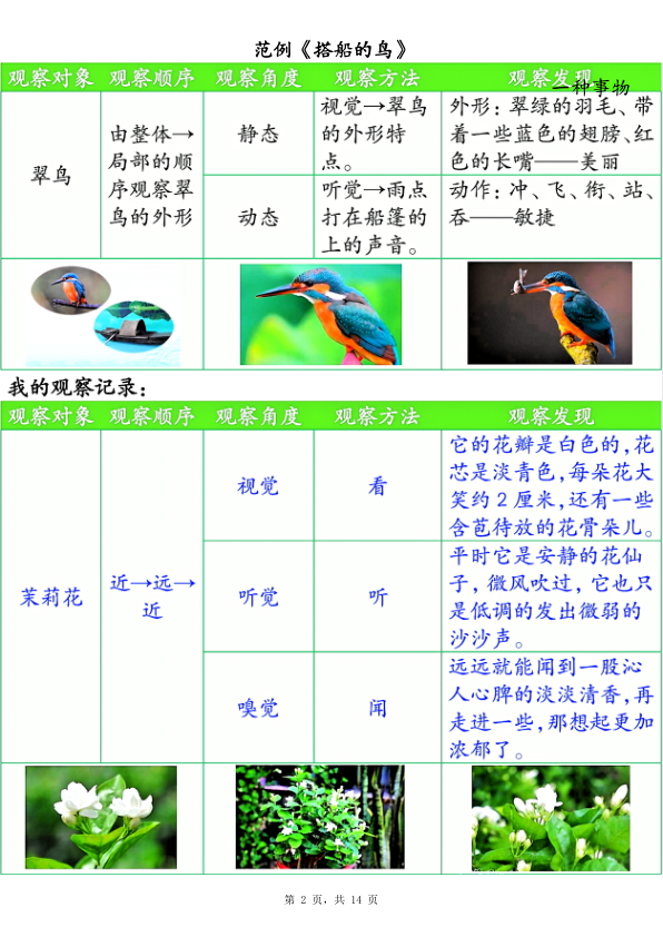 图片[2]-25新三年级上册语文第五单元观察记录单（空白含答案）-宝库盒教辅资料站