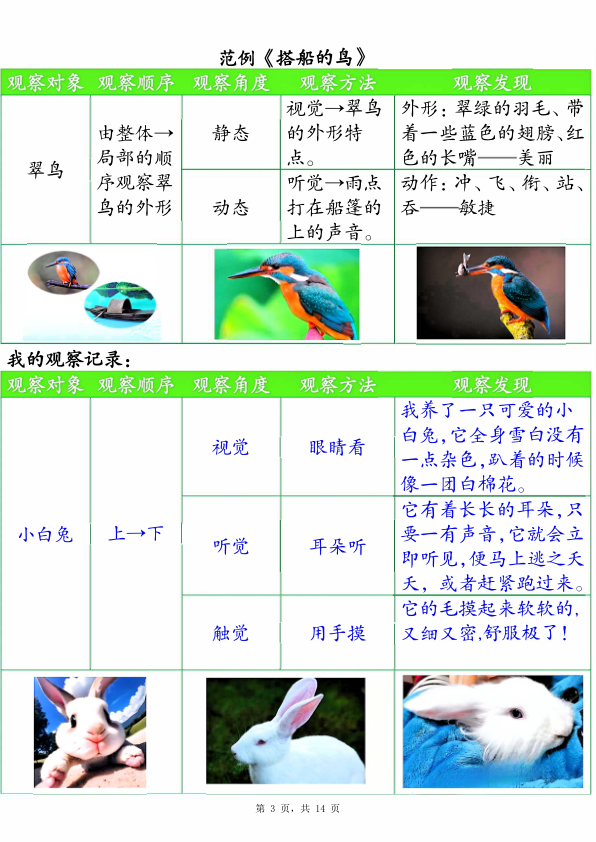 图片[3]-25新三年级上册语文第五单元观察记录单（空白含答案）-宝库盒教辅资料站