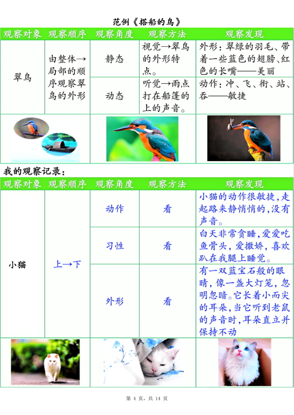 图片[4]-25新三年级上册语文第五单元观察记录单（空白含答案）-宝库盒教辅资料站