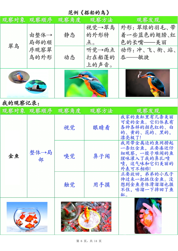 图片[6]-25新三年级上册语文第五单元观察记录单（空白含答案）-宝库盒教辅资料站