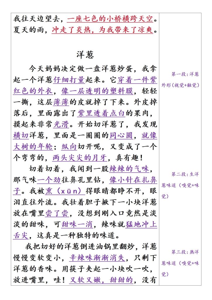 图片[2]-三年级上册习作5《我们眼中的缤纷世界》范文-宝库盒教辅资料站