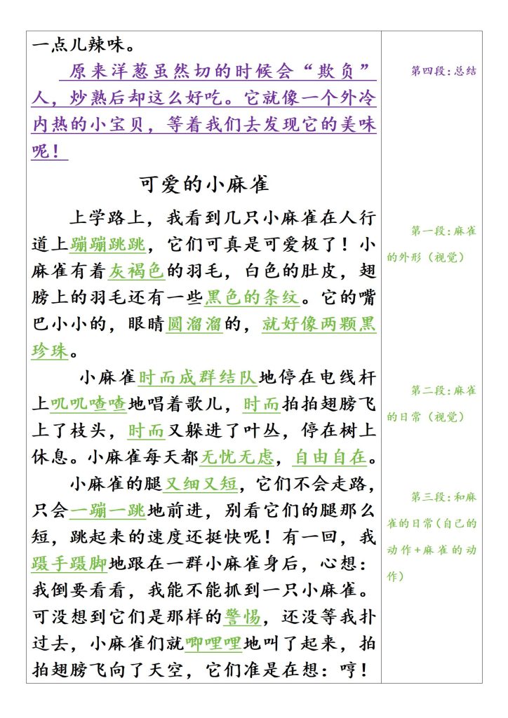 图片[3]-三年级上册习作5《我们眼中的缤纷世界》范文-宝库盒教辅资料站