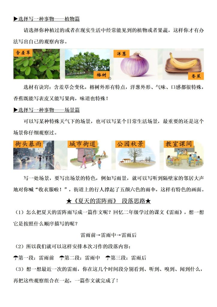 图片[2]-三年级上册习作5《我们眼中的缤纷世界》习作单-宝库盒教辅资料站