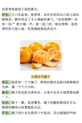 图片[4]-三年级上册语文五感法写作-宝库盒教辅资料站