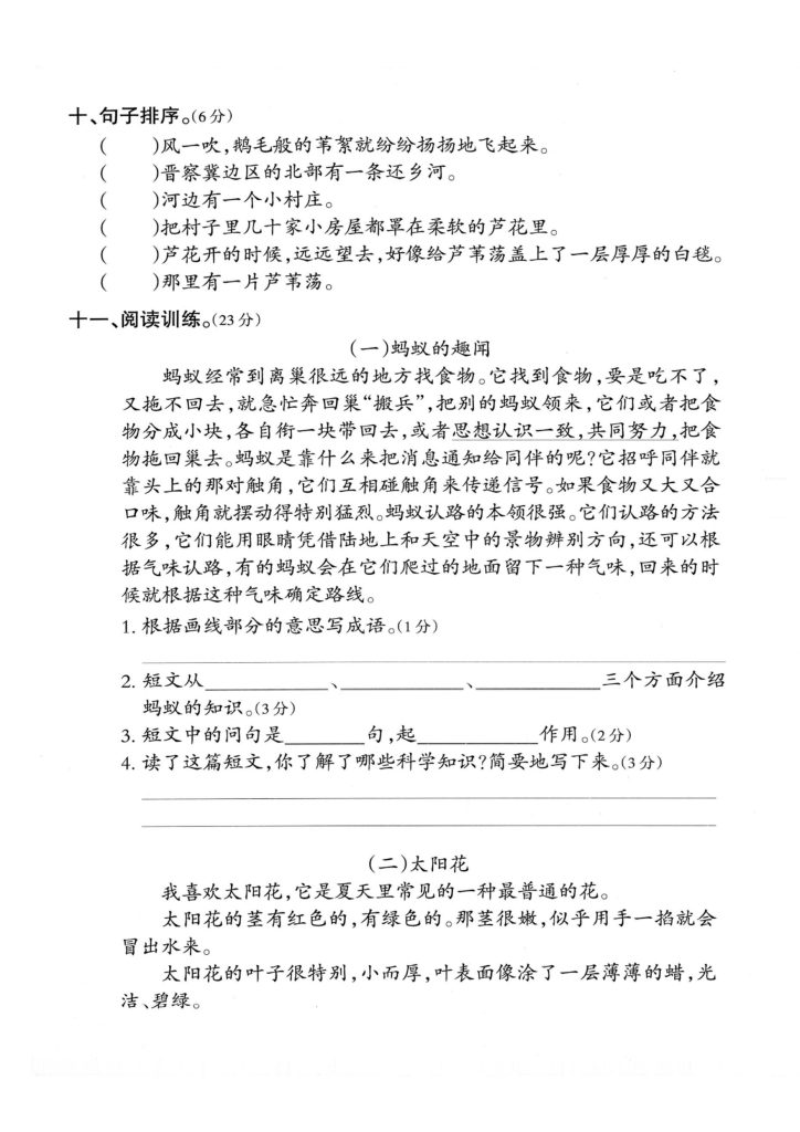 图片[4]-25秋四年级上册语文期中押题卷5套-宝库盒教辅资料站