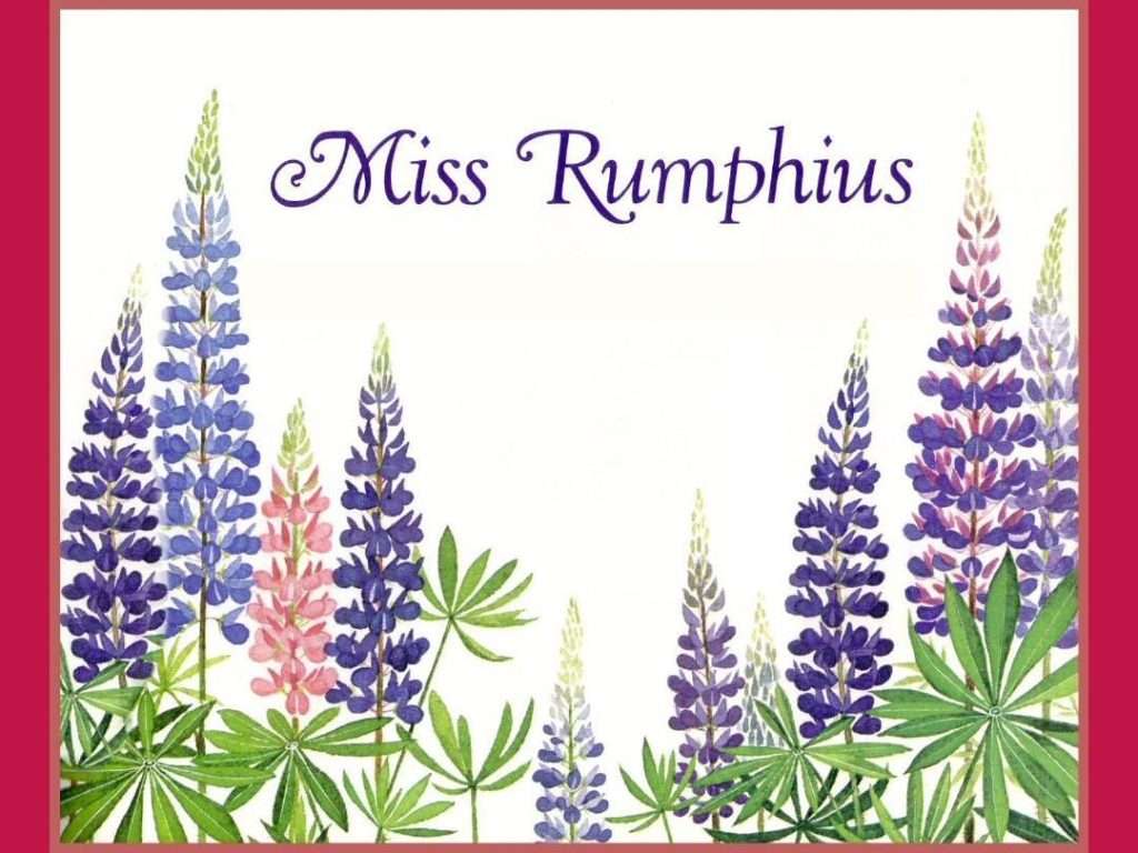 图片[2]-二年级上册语文必读课外书：花婆婆-宝库盒教辅资料站