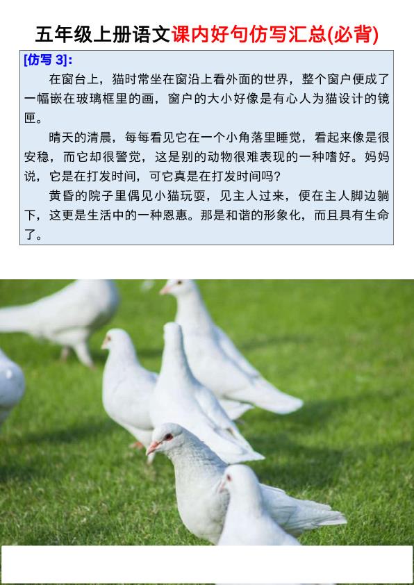 图片[5]-五年级上册语文1-8课（课内好句仿写汇总）-宝库盒教辅资料站