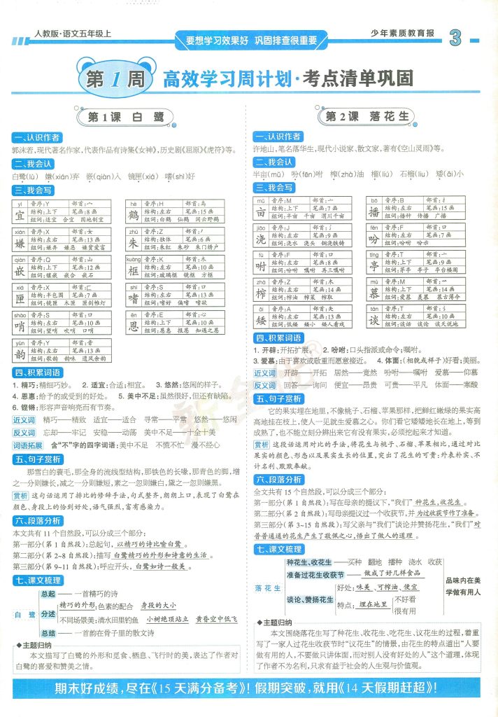 图片[3]-周末基础复习人教版五年级2025语文上册-宝库盒教辅资料站