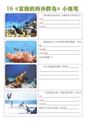25秋三年级上册语文《富饶的西沙群岛小练笔》-宝库盒教辅资料站