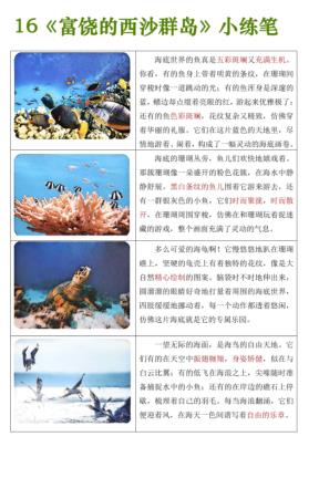 图片[2]-25秋三年级上册语文《富饶的西沙群岛小练笔》-宝库盒教辅资料站