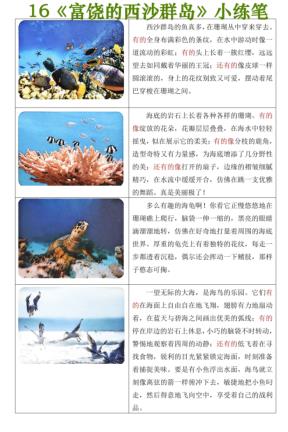 图片[3]-25秋三年级上册语文《富饶的西沙群岛小练笔》-宝库盒教辅资料站