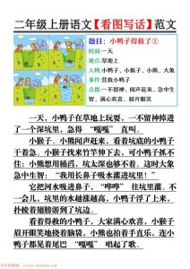 二年级上册语文看图写话范文-宝库盒教辅资料站