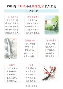 2025新二年级上册语文期末复习考点汇总-宝库盒教辅资料站