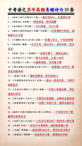 中考语文历年高频易错诗句20条-宝库盒教辅资料站