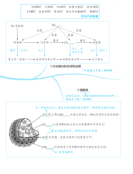 图片[5]-2026高考生物《要点图绘》手册-宝库盒教辅资料站