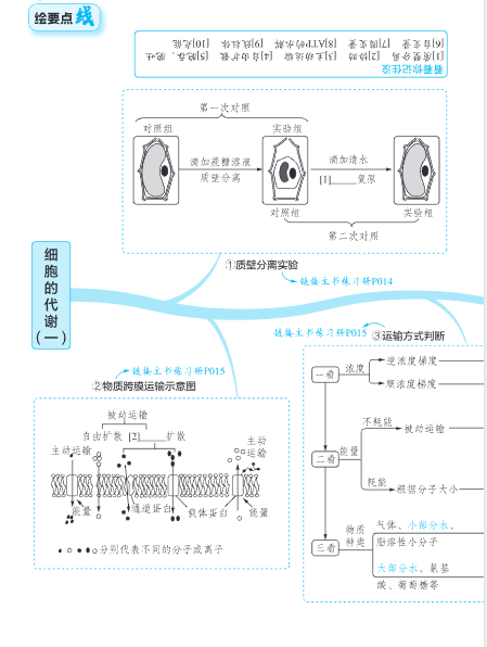 图片[6]-2026高考生物《要点图绘》手册-宝库盒教辅资料站