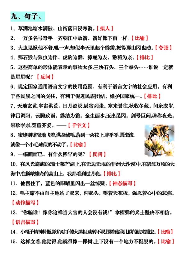 图片[5]-五年级下册语文全册知识点汇总含歇后语古诗近反义词句子课文理解-宝库盒教辅资料站