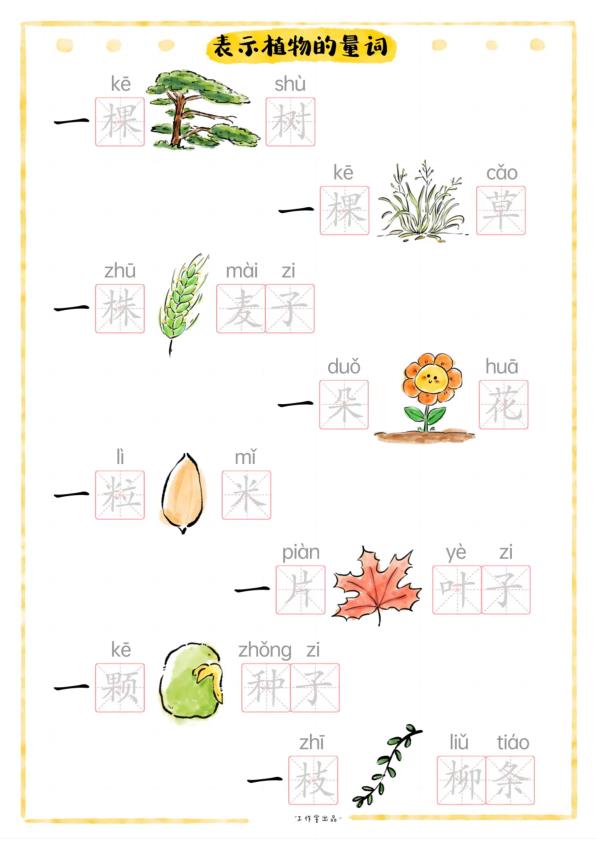 图片[4]-幼小衔接语文量词用法大全常见搭配与专项练习-宝库盒教辅资料站