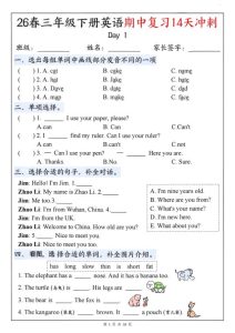 三年级下册英语期中复习14天冲刺《人教版PEP》-宝库盒教辅资料站