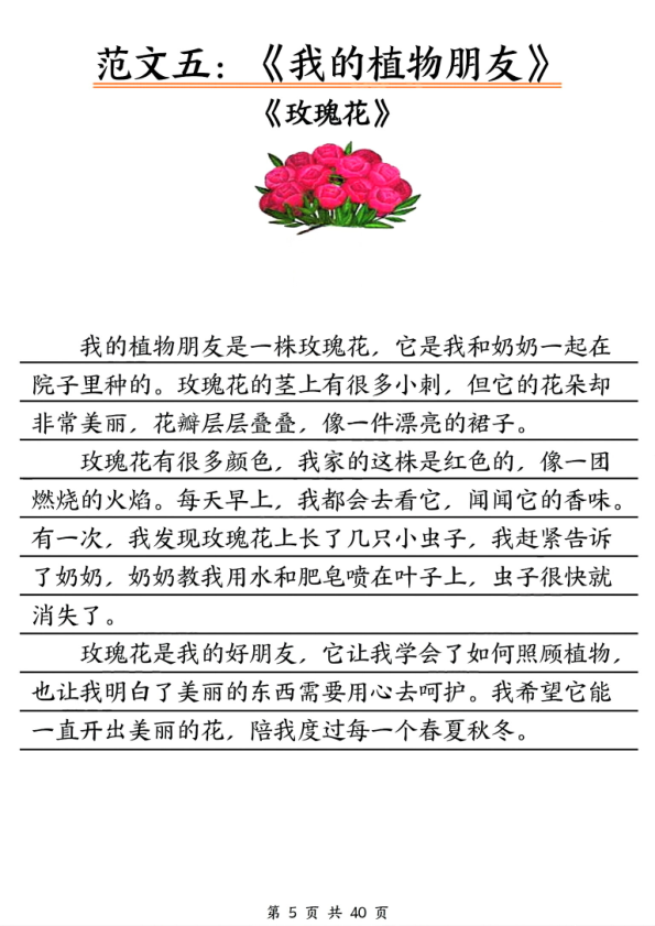 图片[6]-三年级下册语文单元写作范文汇总-宝库盒教辅资料站