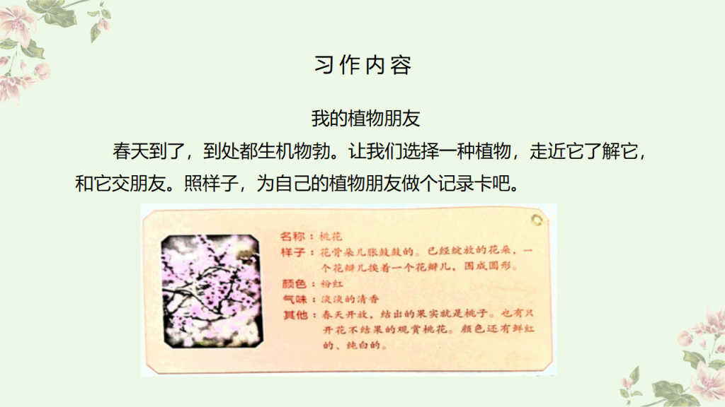 图片[3]-部编版三年级语文下册习作《我的植物朋友》PPT课件-宝库盒教辅资料站