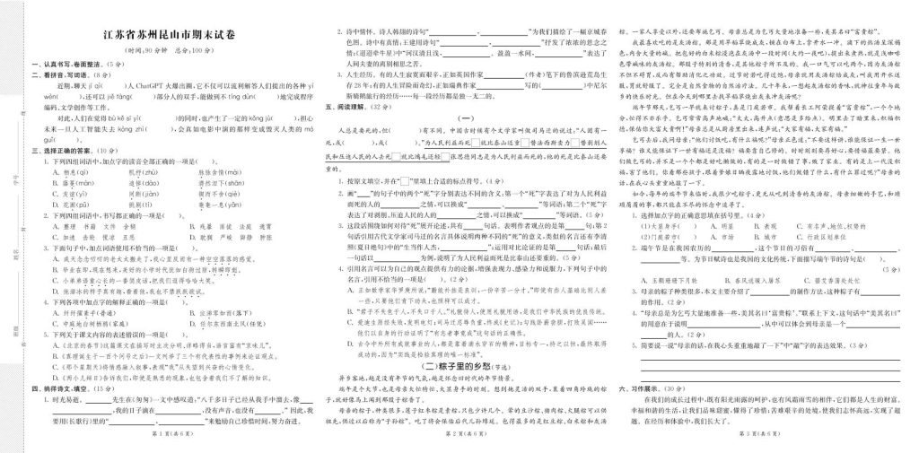 图片[3]-26六年级下册语文期末闯关必刷卷8省8套最新期末真卷(含答案)-宝库盒教辅资料站