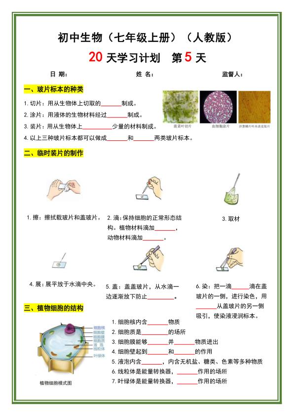 图片[5]-七年级上册生物暑假预习20天计划《人教版》-宝库盒教辅资料站