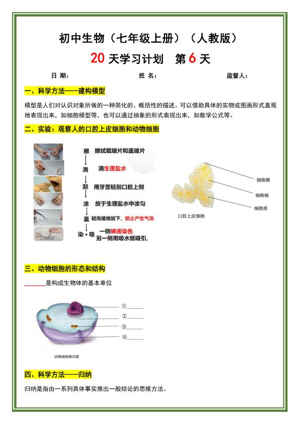 图片[6]-七年级上册生物暑假预习20天计划《人教版》-宝库盒教辅资料站