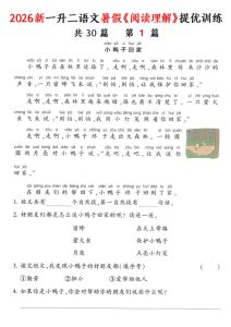 2026新一升二语文暑假《阅读理解》提优训练-宝库盒教辅资料站