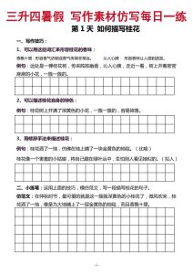 三升四《暑假写作素材仿写每日一练》（40篇）-宝库盒教辅资料站