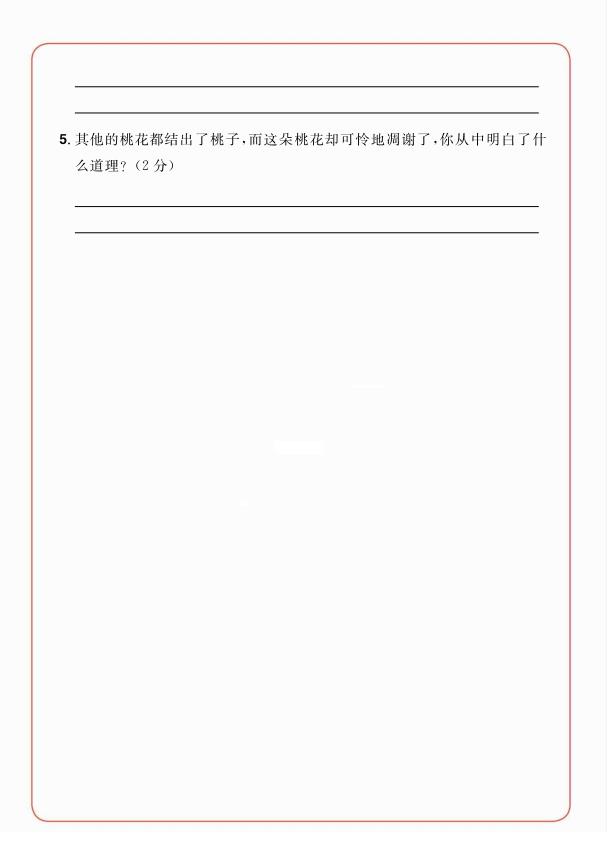 图片[2]-暑假课外阅读提升二年级《每日一练》-宝库盒教辅资料站
