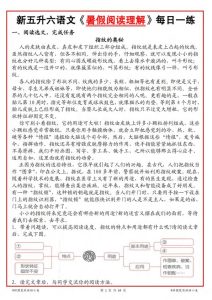 2026新五升六语文暑假阅读理解每日一练-宝库盒教辅资料站